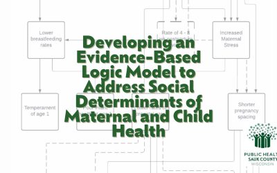Developing a Maternal Child Health Metric for a Local Health Department