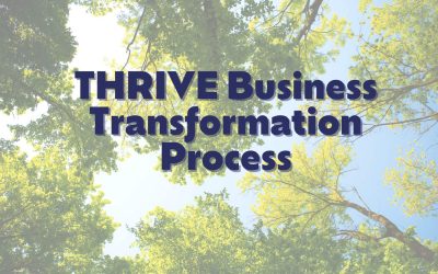 The 6-Part THRIVE Consulting Methodology
